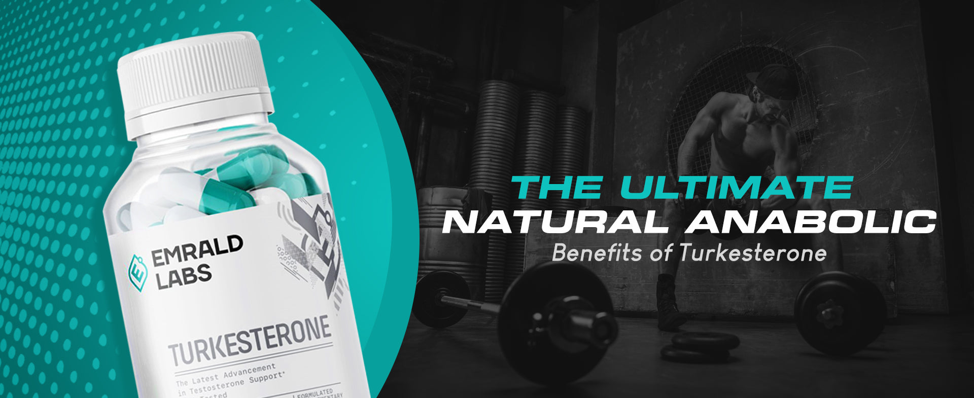 Turkesterone The Ultimate Natural Anabolic