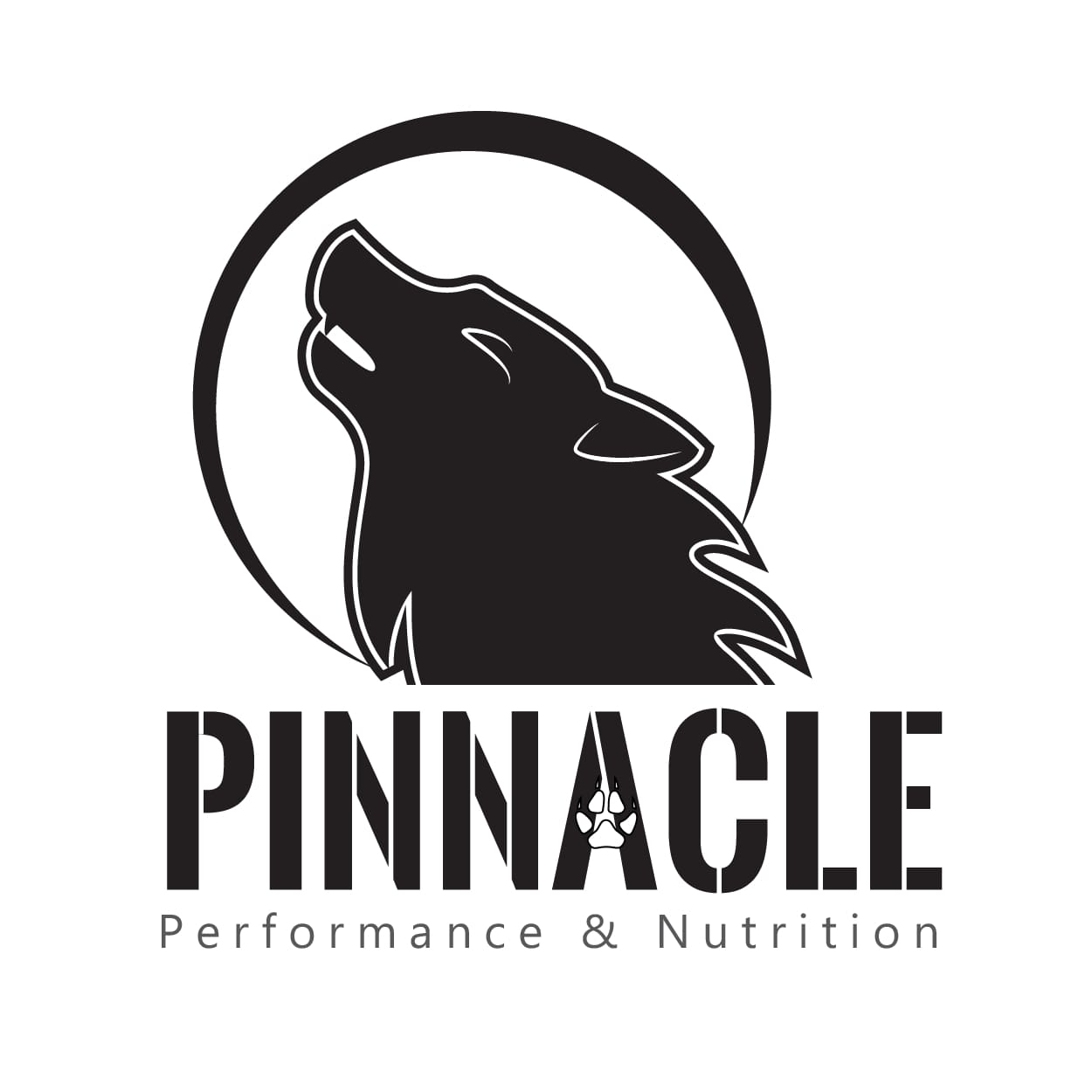 Pinnacle Performance