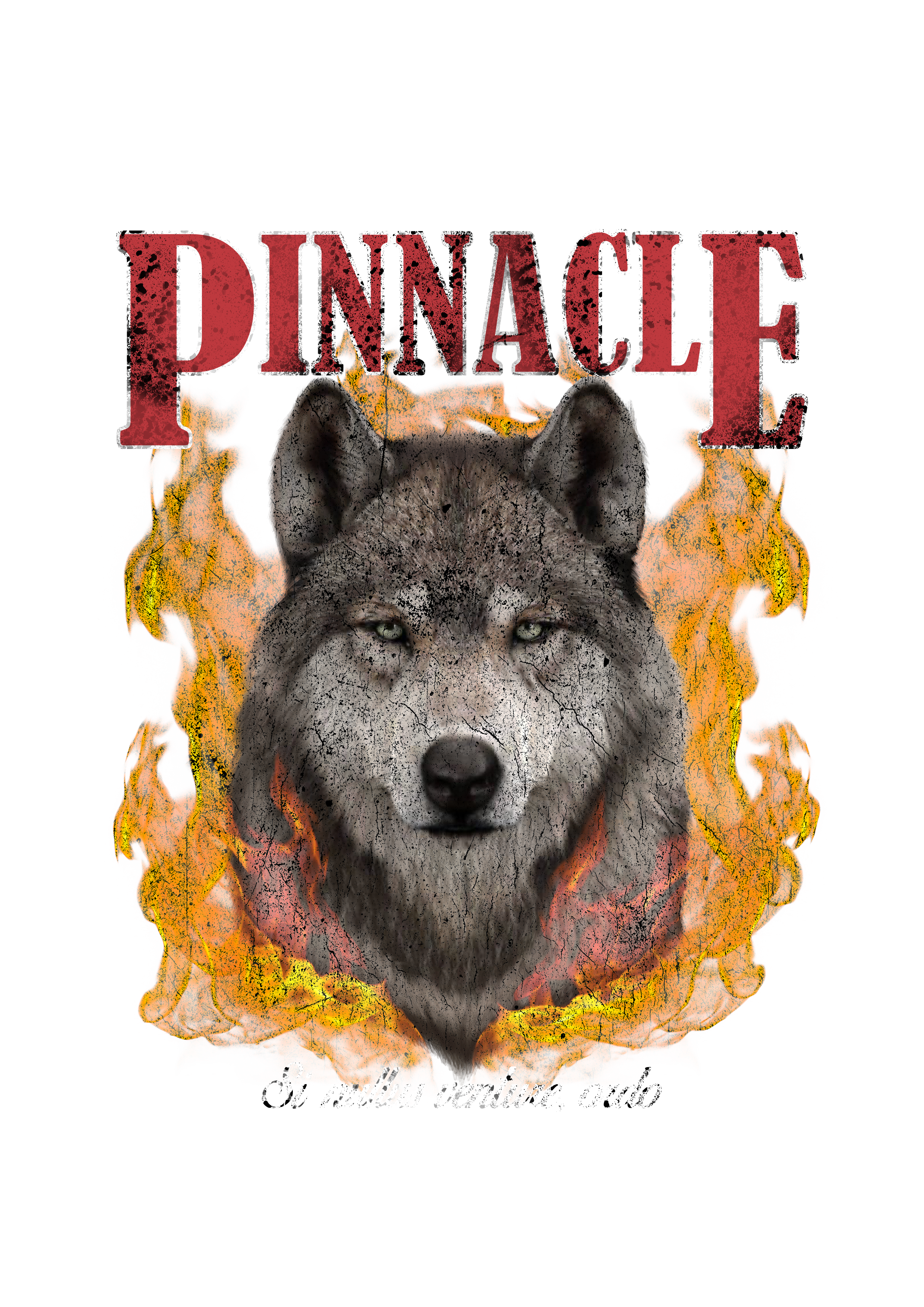 Pinnacle Proverb Tees