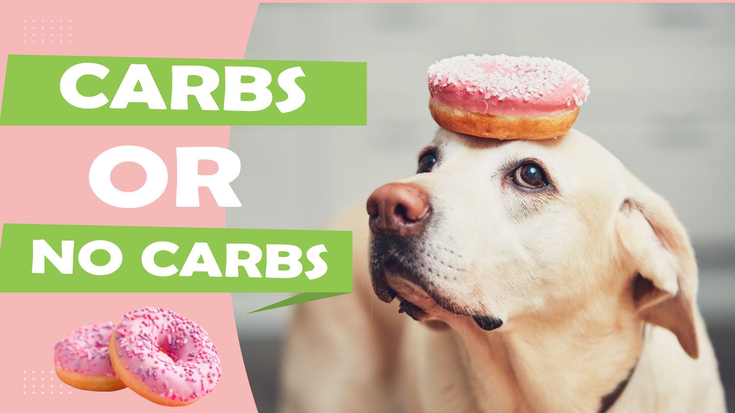 Carbs or No Carbs For Your Weight Loss Goals