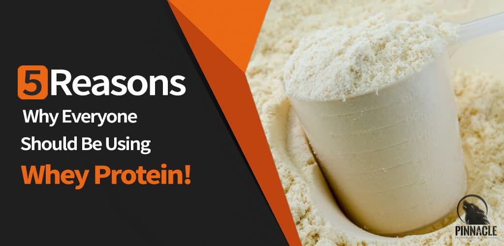 5 Reasons Why Everyone Should Be Using Whey Protein!