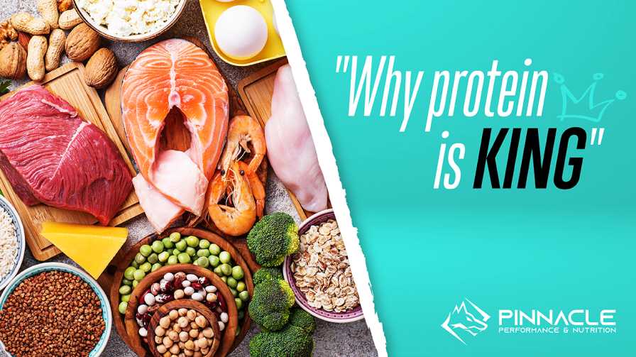 Why Protein Is King