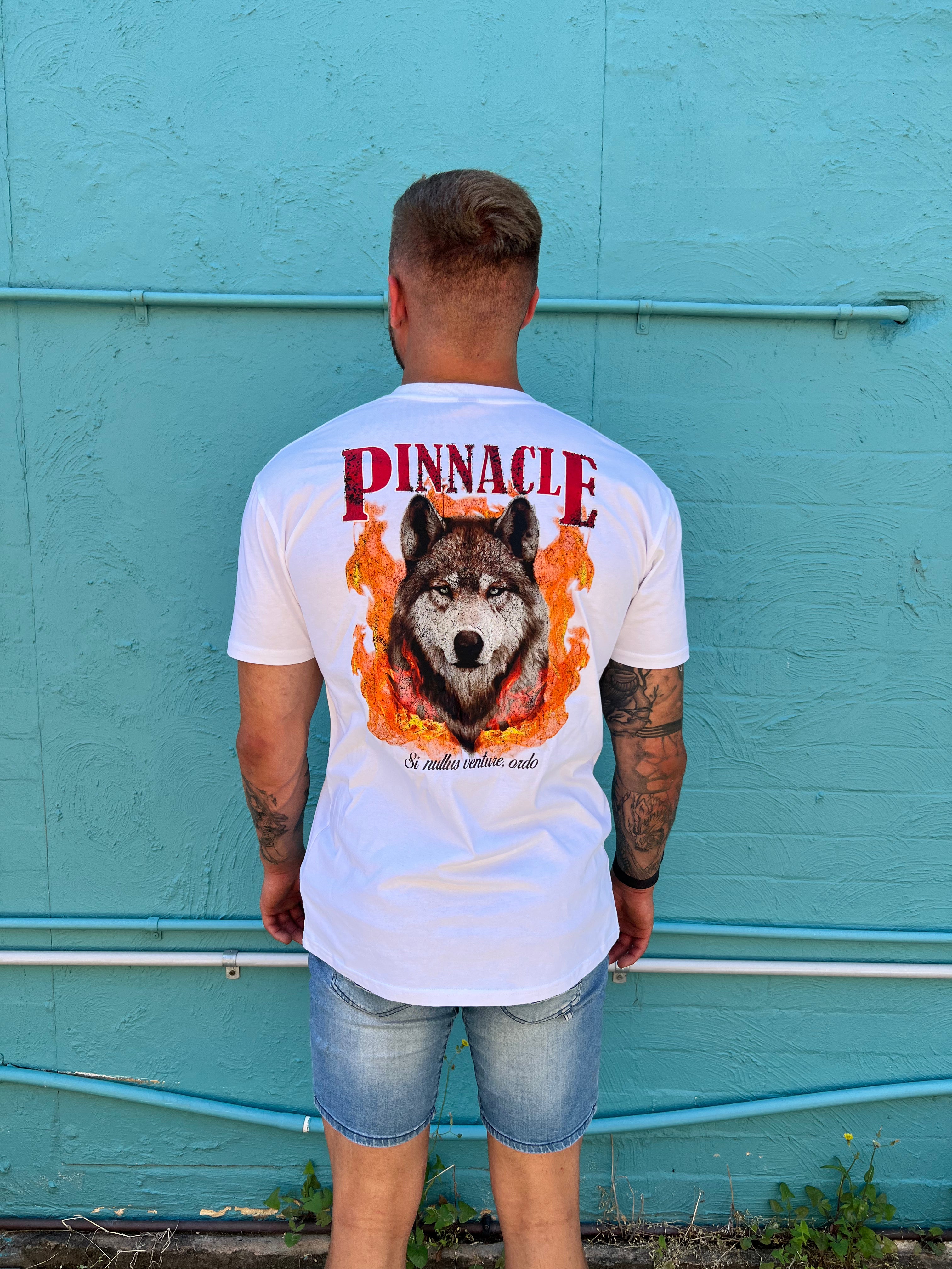 Pinnacle Proverb Tees